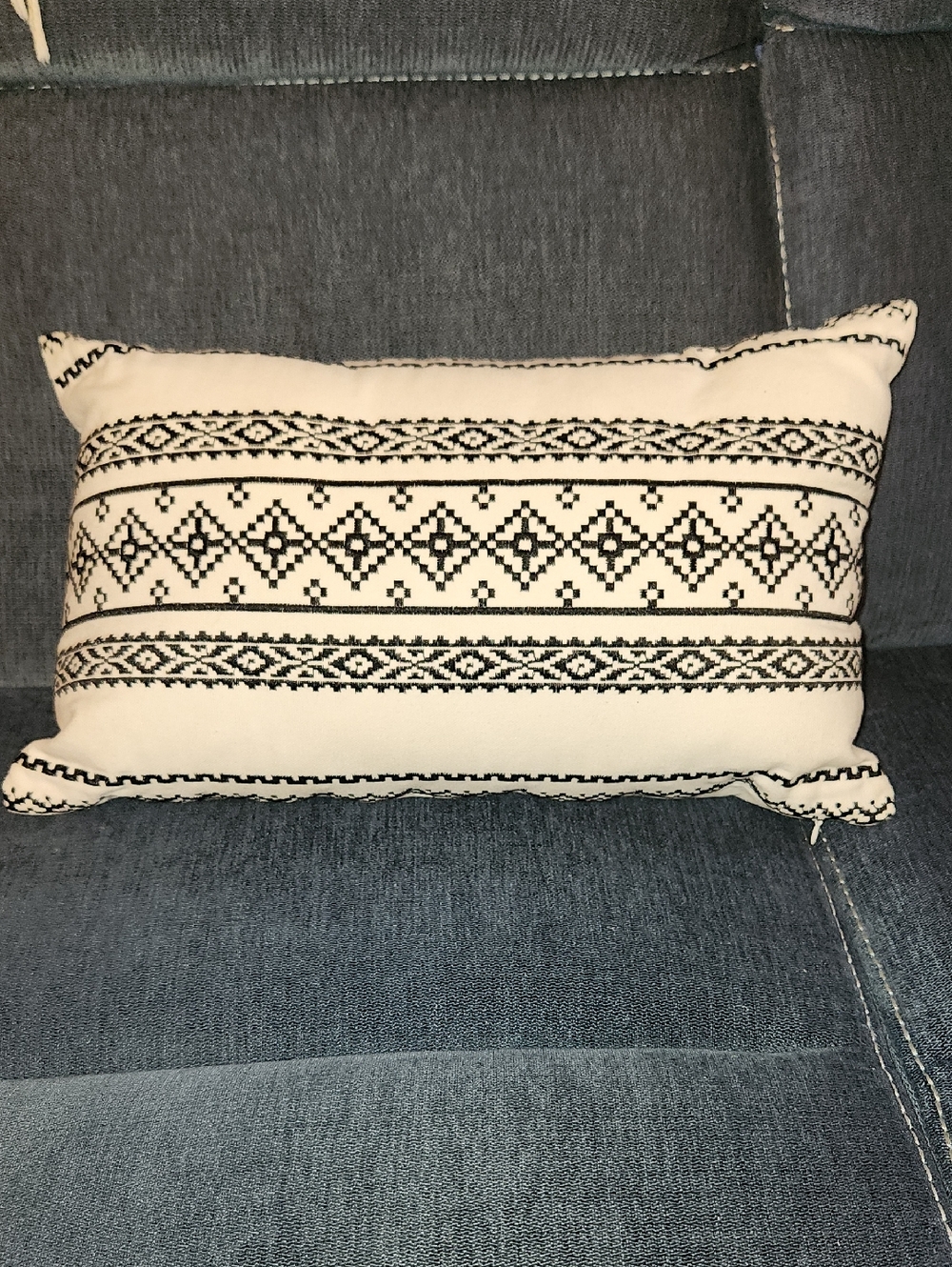 Vfuty Black and White/Ivory Embroidered Decorative Lumbar Pillow 19"x12"
